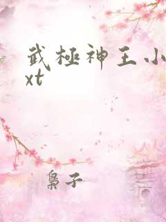 武极神王小说txt