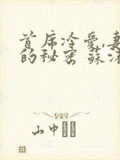 首席冷爱,妻子的秘密 苏沫朵朵