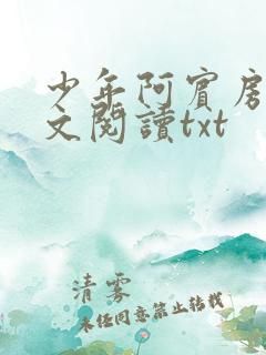 少年阿宾房东全文阅读txt