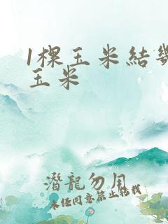 1棵玉米结几个玉米