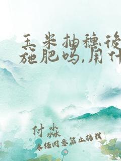 玉米抽穗后还能施肥吗,用什么肥料比较好?