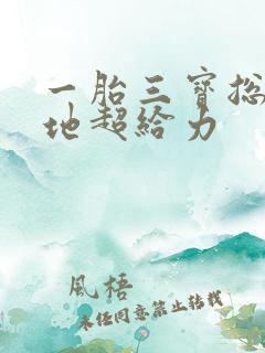 一胎三宝总裁爹地超给力
