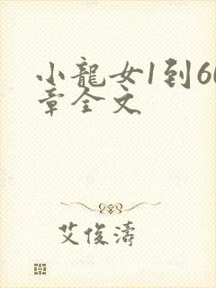 小龙女1到60章全文