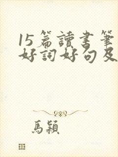 15篇读书笔记好词好句及感悟