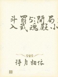 斗罗5:开局加入武魂殿小说完整版