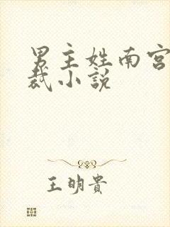 男主姓南宫的总裁小说