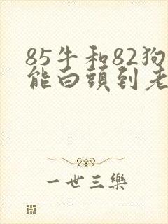 85牛和82狗能白头到老吗