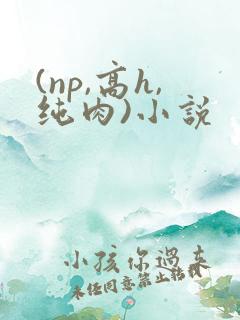 (np,高h,纯肉)小说