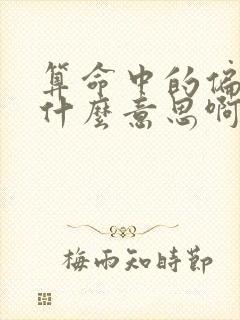 算命中的偏财是什么意思啊
