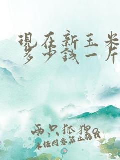 现在新玉米价格多少钱一斤