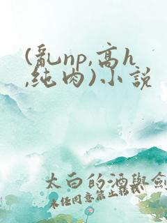 (乱np,高h,纯肉)小说