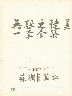 无耻之徒美版第一季全集 无耻之徒美版第一季全集