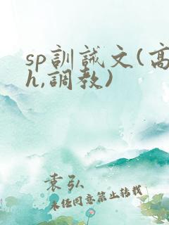 sp训诫文(高h,调教)