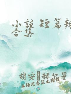 小说 短篇辣文合集