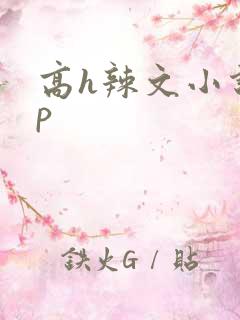 高h辣文小说np