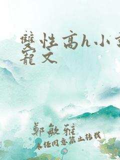 双性高h小说甜宠文