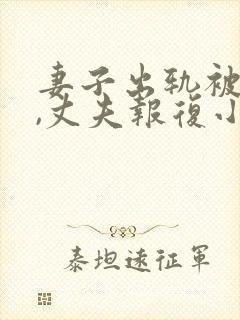 妻子出轨被发现,丈夫报复小说