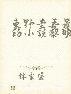 东野圭吾最好看的小说黎明之街