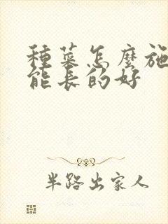 种菜怎么施肥才能长的好