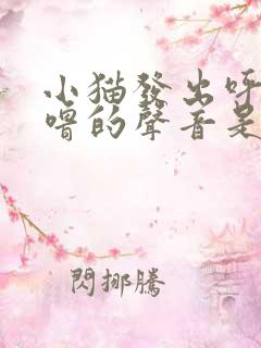 小猫发出呼噜呼噜的声音是什么