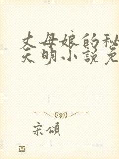 丈母娘的秘密叶天明小说免费阅读