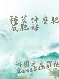 种菜什么肥料做底肥好