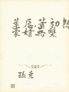 叶辰,萧初然 豪婿无双