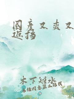 国产又爽又黄无遮挡