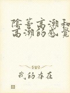 阴蒂高潮和阴道高潮的感觉