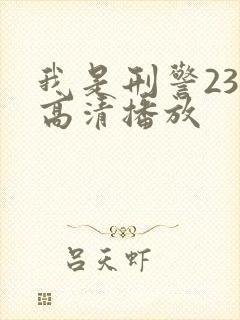 我是刑警23集高清播放