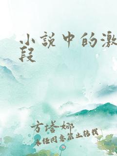 小说中的激情片段