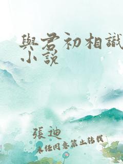 与君初相识相似小说