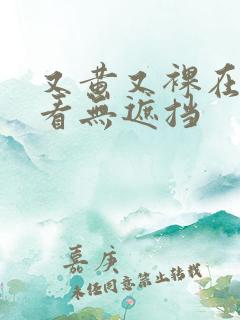 又黄又裸在线观看无遮挡