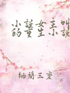 小说女主叫婉婉的重生小说
