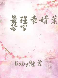 最强豪婿叶凡唐若雪