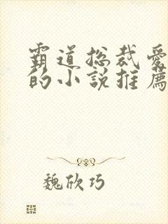 霸道总裁爱上我的小说推荐