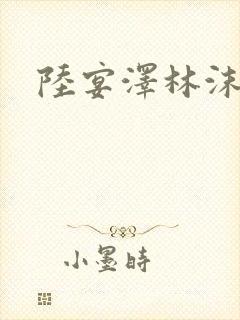 陆宴泽林沫沫