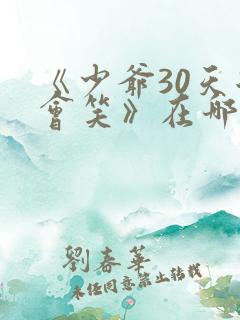 《少爷30天后会笑》在哪里看