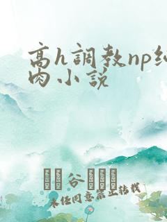 高h调教np纯肉小说