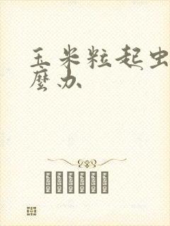 玉米粒起虫子怎么办