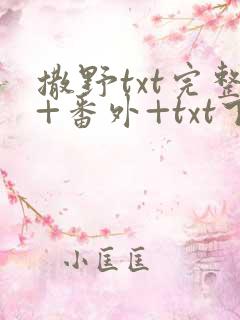 撒野txt完整+番外+txt下载