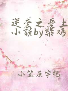 逆袭之爱上情敌小说by柴鸡蛋