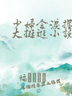 少妇含泪握住粗大挺进小说