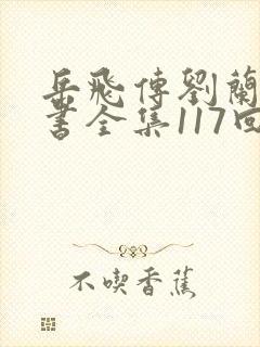 岳飞传刘兰芳评书全集117回