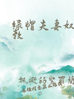 绿帽夫妻奴受调教