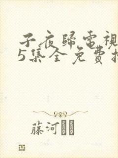 子夜归电视剧35集全免费播放
