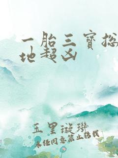 一胎三宝总裁爹地超凶