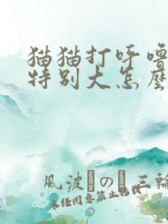 猫猫打呼噜声音特别大怎么回事