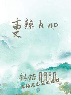 高辣 h np文