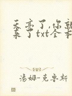 天亮了,你就回来了txt全本下载